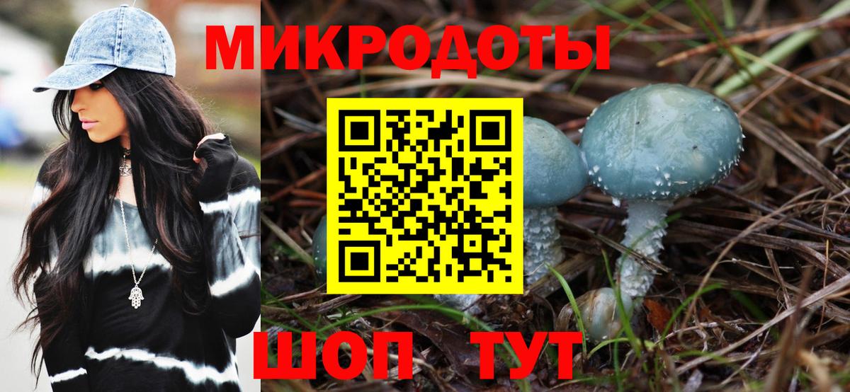 Псилоцибиновые грибы прущие грибы Георгиевск
